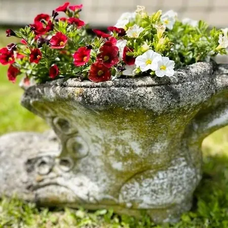 Apartment Classen Eifel *