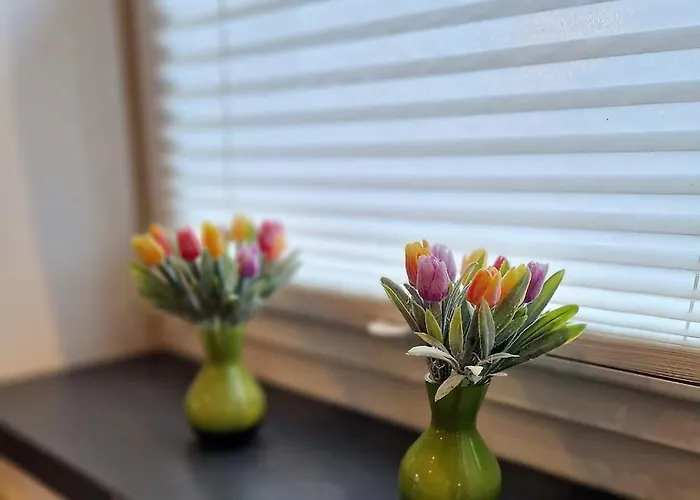 Classen Eifel Lejlighed Schleiden