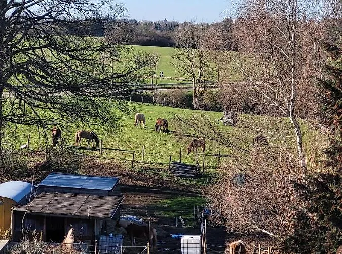 Classen Eifel Lejlighed *