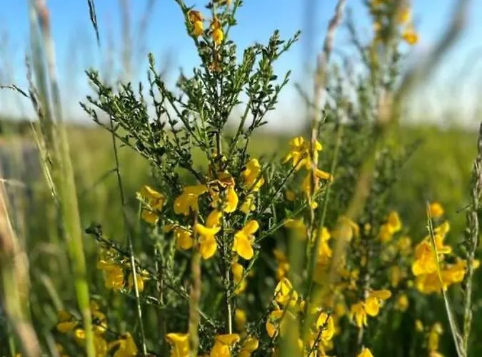 Lejlighed Classen Eifel Schleiden