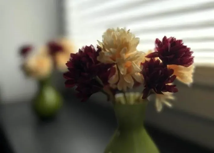 Classen Eifel * Schleiden